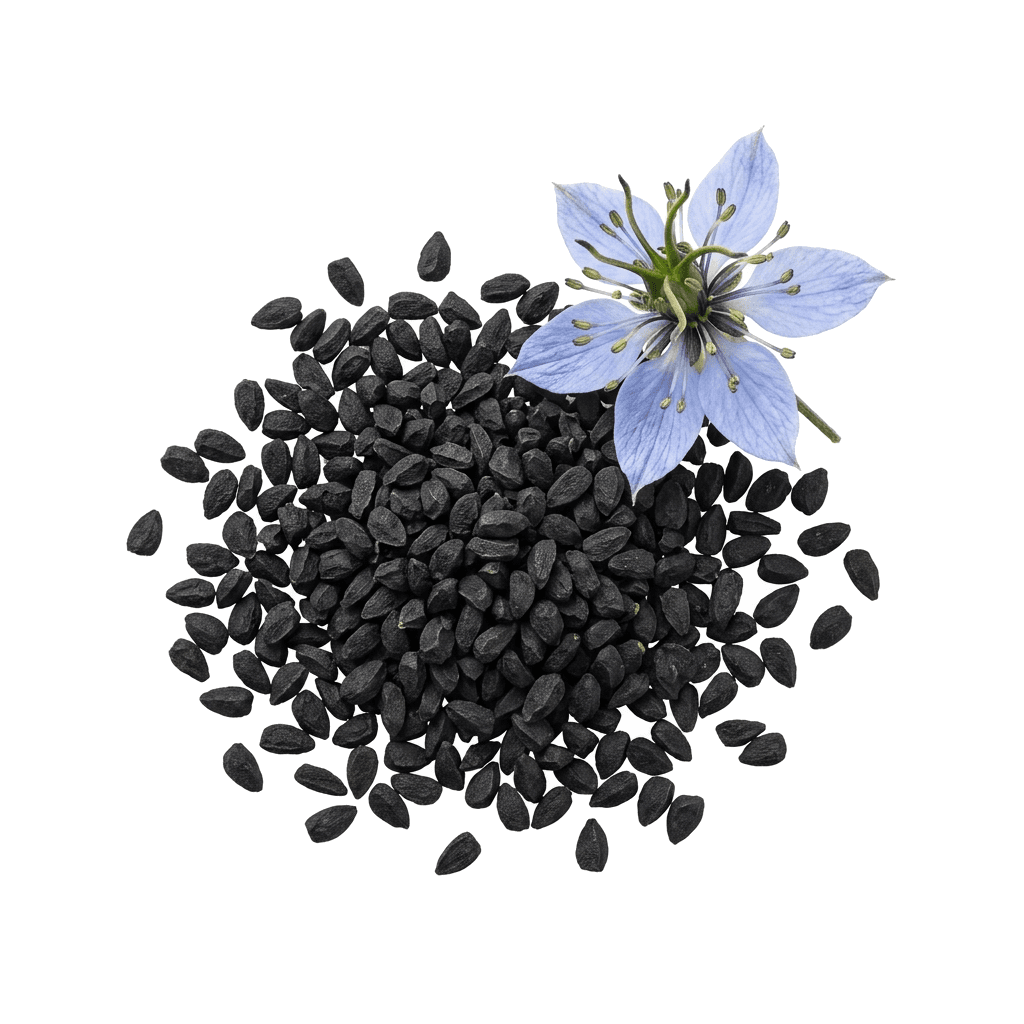 Black Cumin
